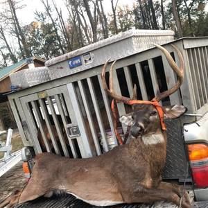 Meet your Posher, Cutler